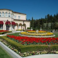 Classic Car Tours