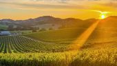 Amazing Napa Girls Weekend