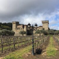 Shore Excursions