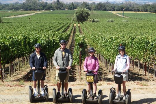 Sonoma County Wine Segway Tour