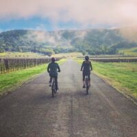Day Trips & Excursions