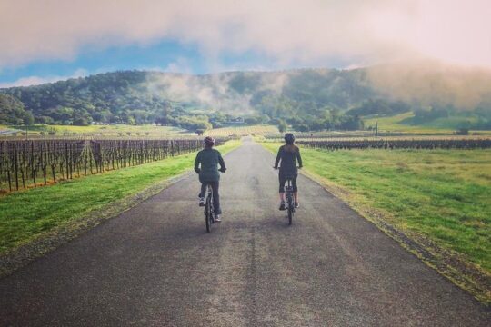 Sonoma Valley Pedal Assist or Standard Bike Tour with Lunch