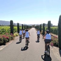 Holiday & Seasonal Tours