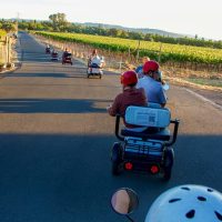 Wine Tasting & Winery Tours