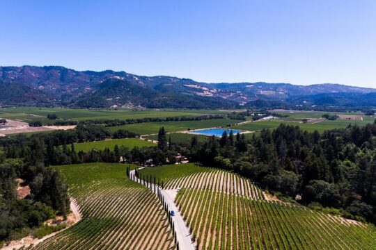 Napa Valley's Best Wine Tour w/ Local Expert