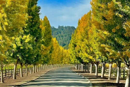 Private Wine Tour to Napa Valley