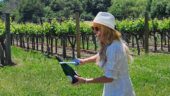 Don’t think twice - call Melissa and have a phenomenal day in Napa!