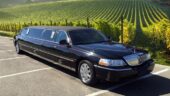 Fantastic wine tours, I keep coming back!