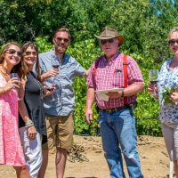 Cultural Tours