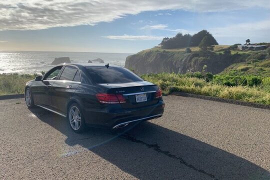 Winery and Vineyard Transportation in Private Black Sedan
