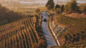 Sonoma wine tasting