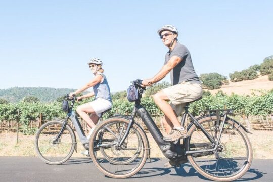 Vine Trail Discovery E-Bike Tour
