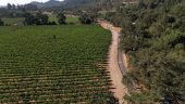 Bike through the Vineyards