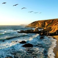 Audio Guided Tours