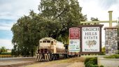 3 HOUR Wine Train Experience with Lunch + 1 Winery Tour